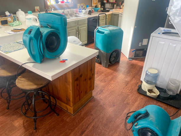 Professional Water damage restoration in Marienville, PA