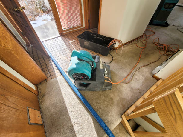 Best 24-hour water damage restoration  in Marienville, PA