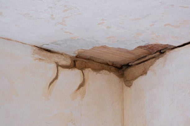 Best Sewage cleanup and water damage restoration  in Marienville, PA