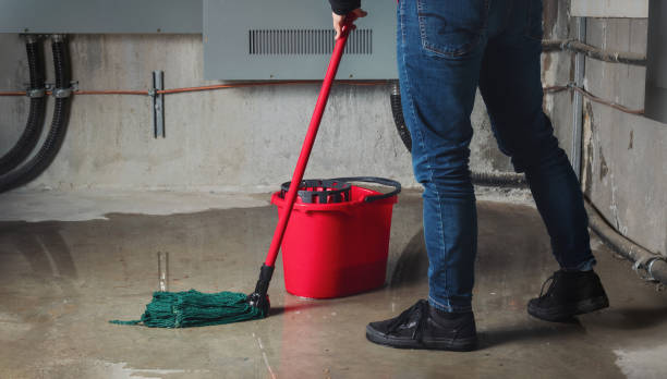 Best 24-hour water damage restoration  in Marienville, PA