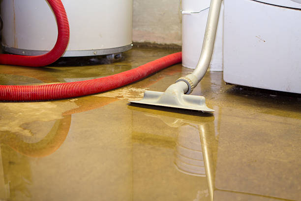  Marienville, PA Water damage restoration Pros