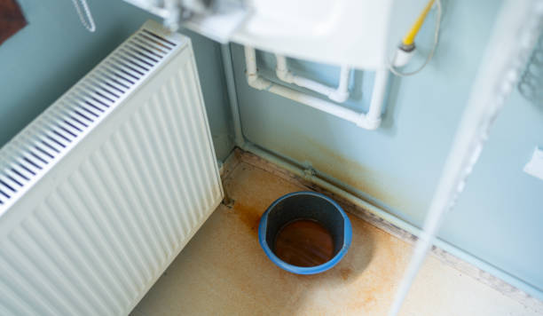Best Local water damage restoration  in Marienville, PA
