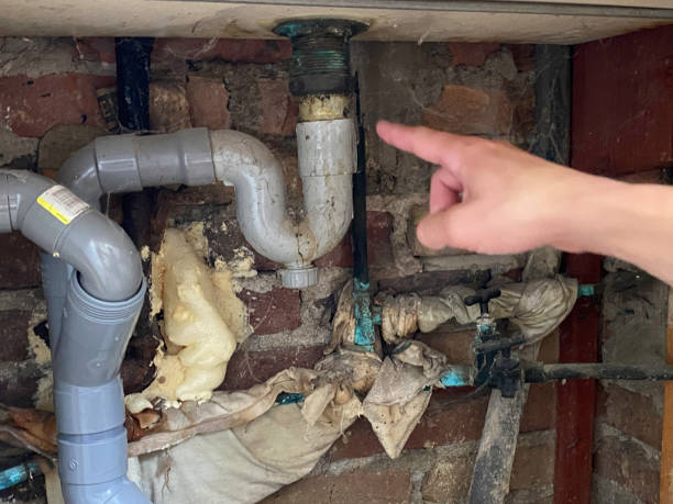 Best Water damage restoration near me  in Marienville, PA